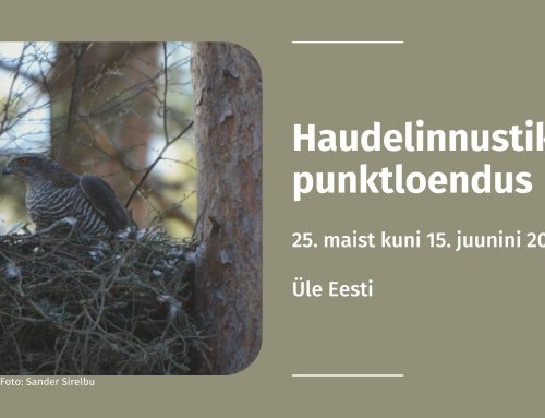 Linnuhuvilised on oodatud osalema täna algaval haudelinnustiku punktloendusel
