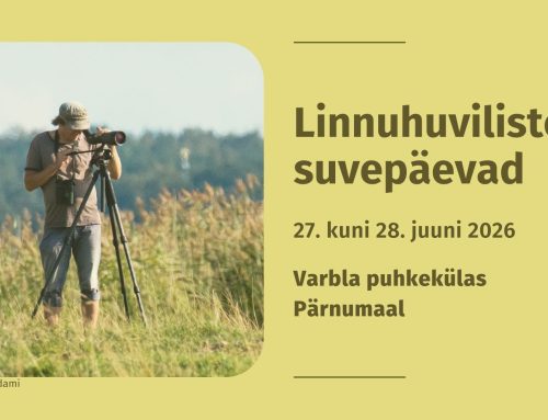 Vahvalt Varblas – linnuhuviliste suvepäevad mereäärses idüllis ei ole enam mägede taga