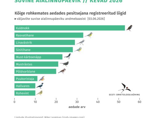 Aialindude pesitsushooaeg on jõudmas oma kulminatsiooni!