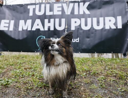 “Tulevik ei mahu puuri”: tuntud Eesti inimesed lõikasid läbi puuri traadid, et toetada kanapuuride keeldu