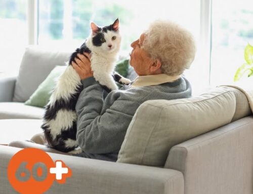 Leia endale omavanune sõber ja jaga soojust!