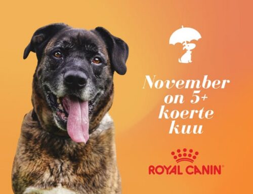 November on seeniorkoerte kuu