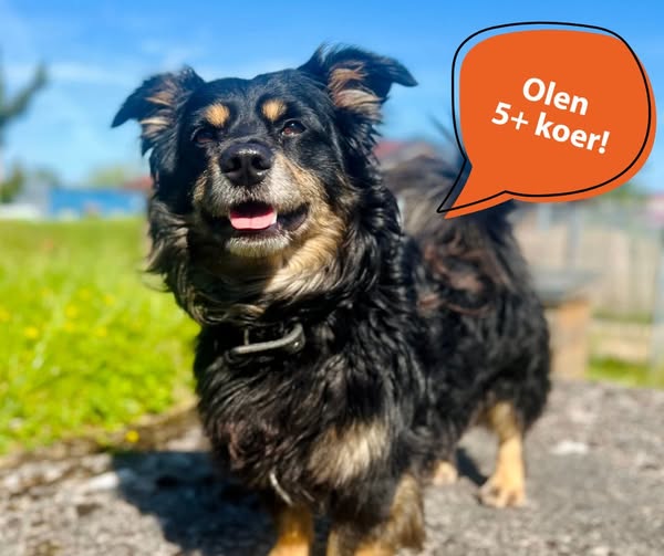 580578268_1243532647803462_7376938226978756006_n