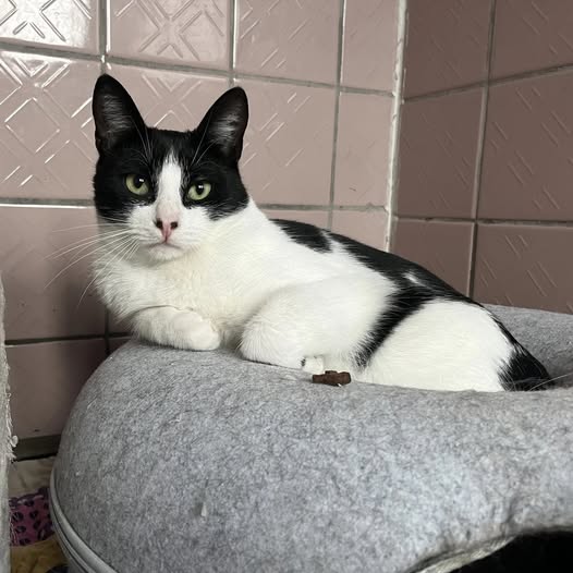 615437069_1295661652590561_6065500369623199688_n