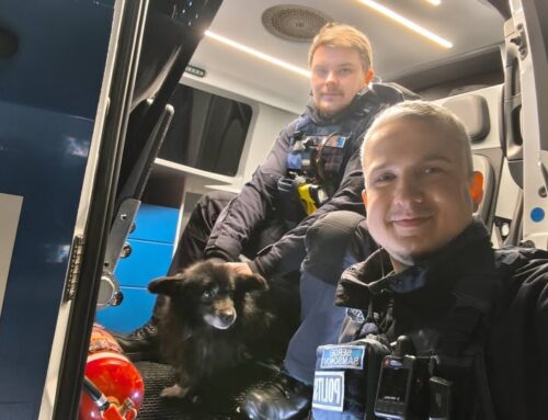 Narva politseinikud päästsid külmetava koerakese