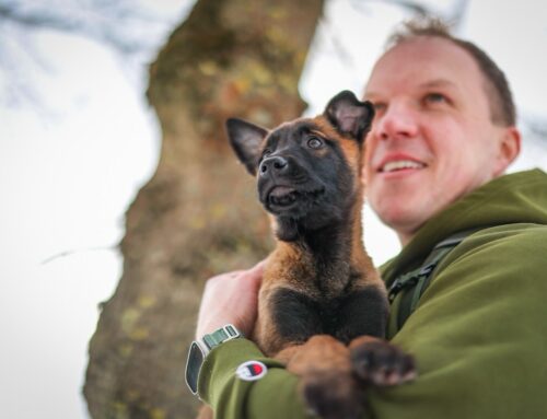 Lõuna prefektuuriga liitus tragi kutsikas