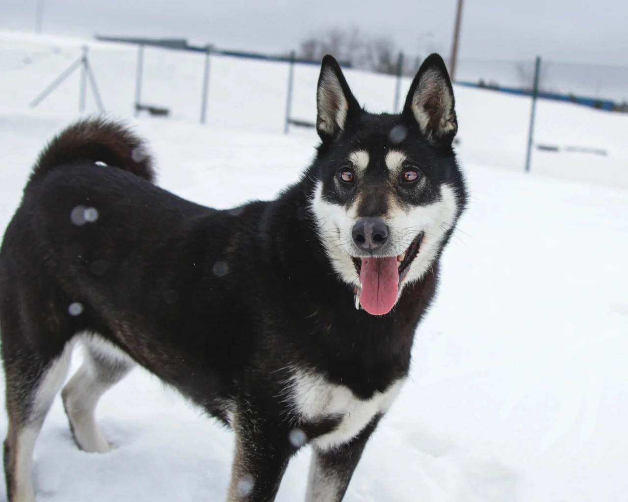 636223793_1320343926789000_5635747797860023026_n