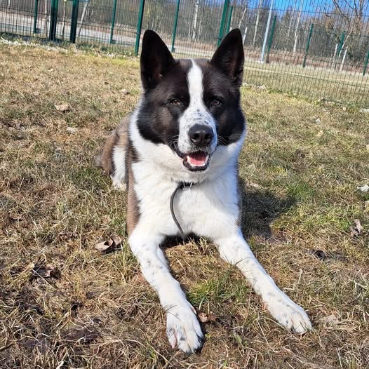 657391296_1353046116852114_5816960327301777340_n