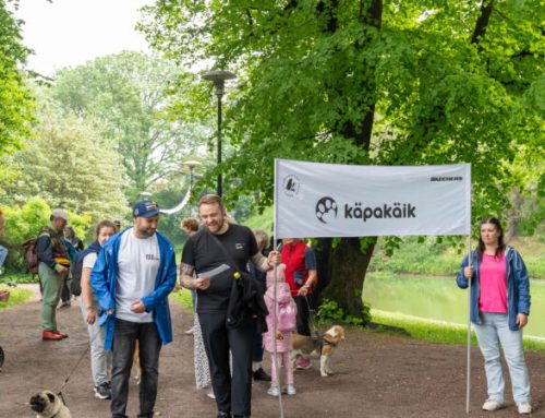 Käpakäik tõi vihmast hoolimata Vanalinna poolsada neljakäpalist