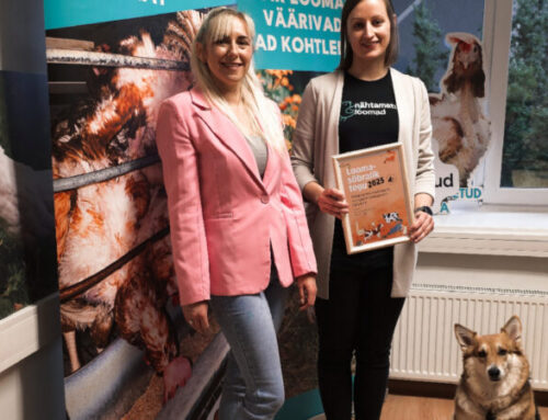 Aasta loomasõbralik tegu on kanade puurispidamise keelustamise kampaania!