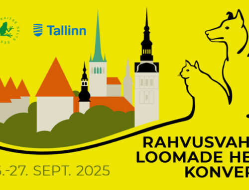 Kuidas olla parem loomakaitsja ja -pidaja?