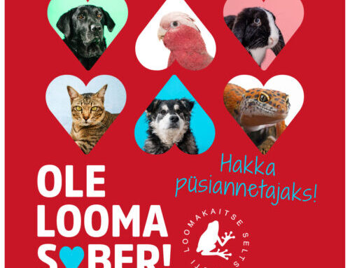 Eesti Loomakaitse Selts: ole looma sõber!