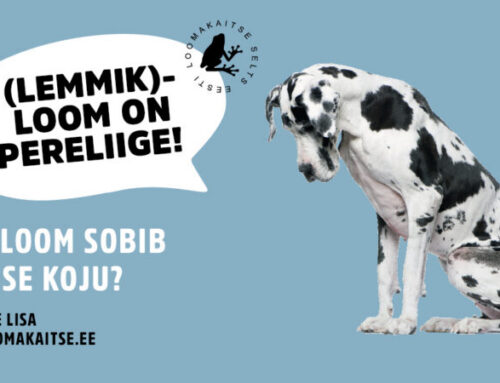 Kas loom sobib igasse koju? Lemmikloomal ei ole off ja on nuppu.