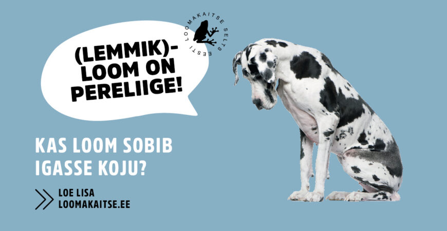 ELS_lemmikloom_pereliige_2025-16_1200x630-870×450