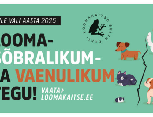 Vali 2025. aasta loomasõbralikum ja – vaenulikum tegu!