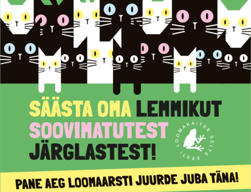 3. – 31.märts 2025 steriliseerimise ja kastreerimise kampaaniaga liitunud kliinikud