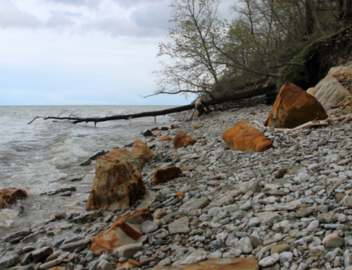 Keskkonnaameti tellimusel valmis merepõhja elustiku uurimise metoodika