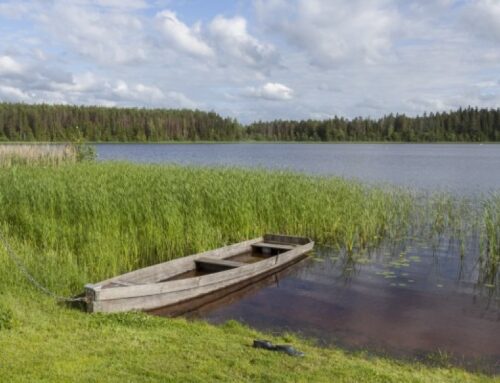 2. detsembrist saab järgmiseks aastaks esitada kalastuskaardi taotlusi