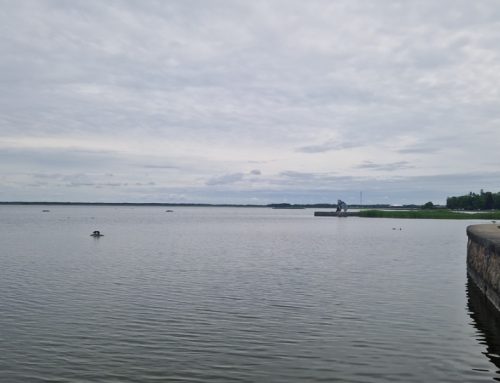 Haapsalu lahte paigaldatakse karbi- ja vetikakasvatus järgmise aasta kevadel