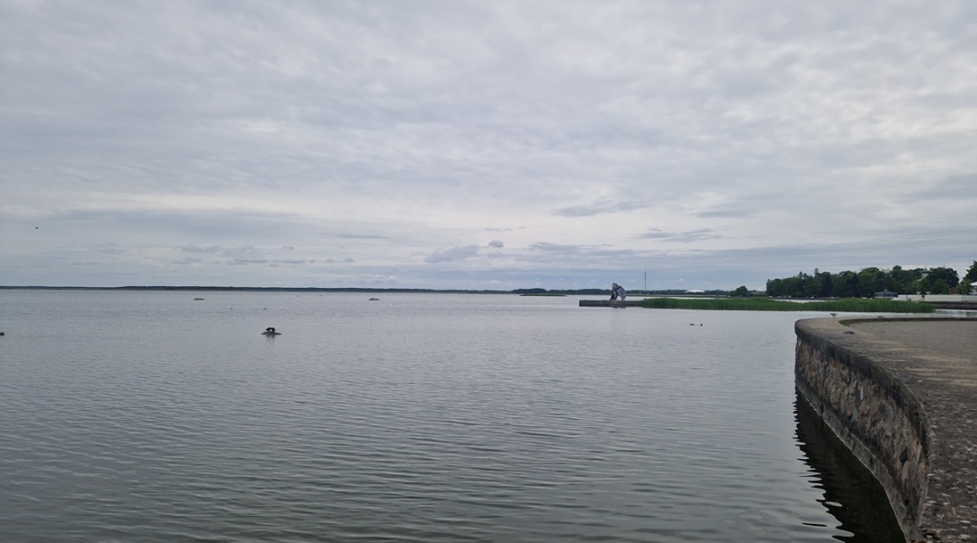 Haapsalu tagalaht
