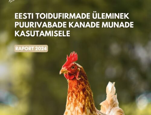RAPORT 2024: Eesti toidufirmade üleminek puurivabade kanade munade kasutamisele