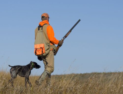Riigikogus võeti vastu jahiseaduse ja looduskaitseseaduse muutmise seadus
