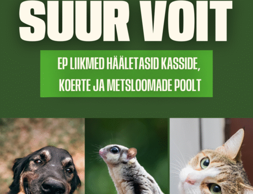 Euroopa Parlament hääletas lemmikloomade kõrgemate heaolu nõuete poolt!