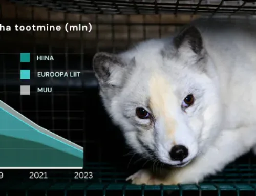 Karusnahatootmine on aastakümnete madalaim – peagi saame karusnahaga hüvasti jätta!