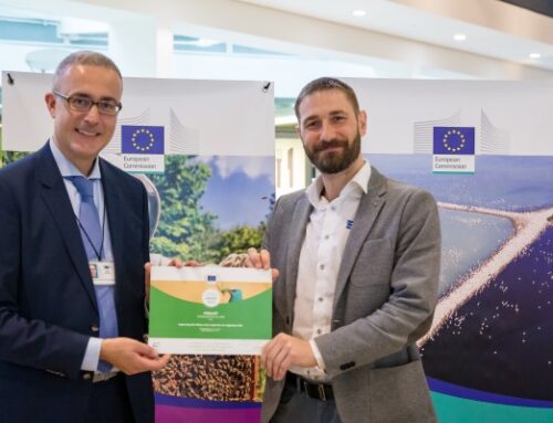 Euroopa Komisjon tunnustas Pärnu jõestiku elupaikade taastamise projekti