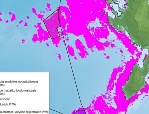 Minister Sutt algatas Eesti esimeste majandusvööndisse jäävate merekaitsealade moodustamise