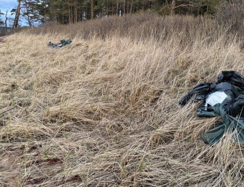 Kutsume masuudikoristuse talgutele Karepale ja Lobile