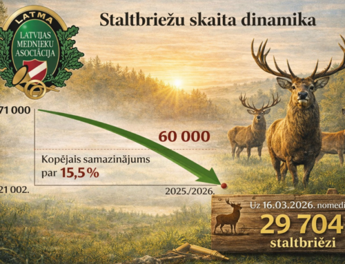 Lätis on punahirvede arvukus languses