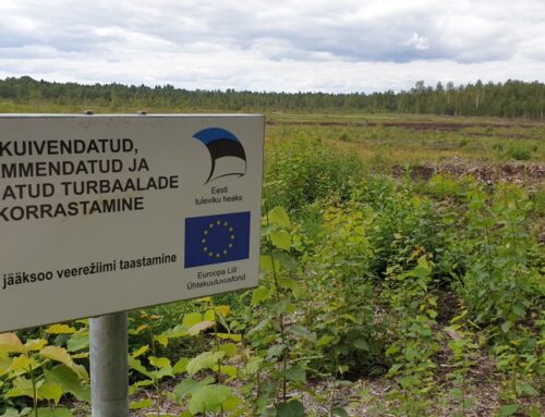 Märgalad – looduslik kaitse üleujutuste vastu