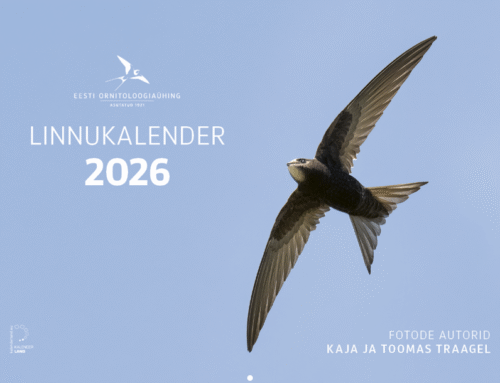 Ilmus Eesti linde tutvustav seinakalender