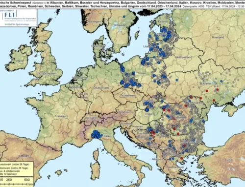 Itaalias ja Poolas on enim katkukoldeid
