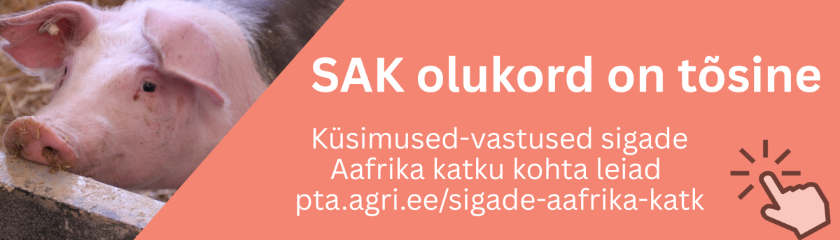 SAK OLUKORD ON TÕSINE