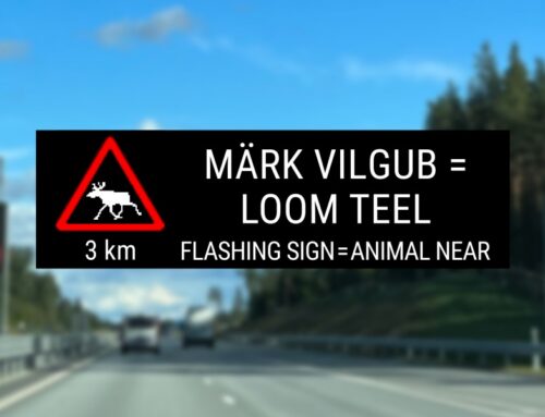 Ettevaatust liikluses – alanud sügis toob metsloomad teele