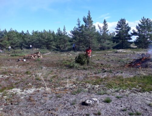 Eesti-Soome LIFE projekti käigus taastati Eestis ligi 180 hektarit looduskooslusi