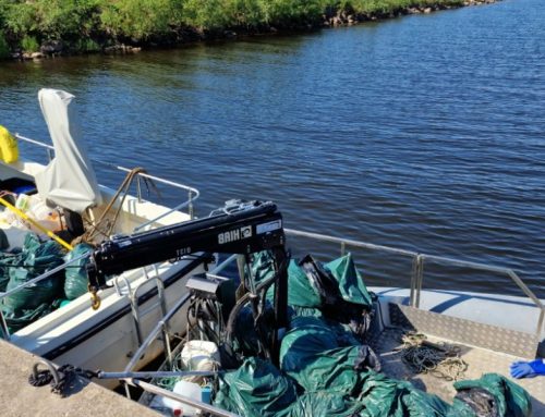 Peipsi järv puhastati 504 ohtlikust võrgust