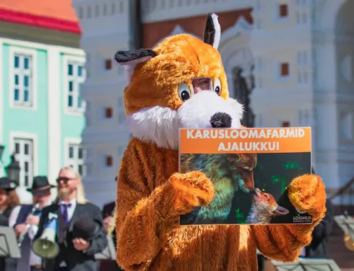 Viktoriin – pane end proovile!