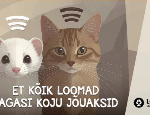 Kasside ja valgetuhkrute kiibistamine ja registreerimine kohustuslikuks!