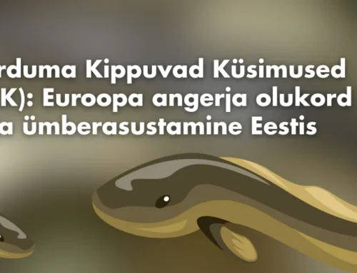 Euroopa angerja olukord ja ümberasustamine Eestis