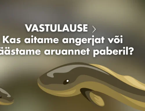 VASTULAUSE: Kas aitame angerjat või päästame aruannet paberil?