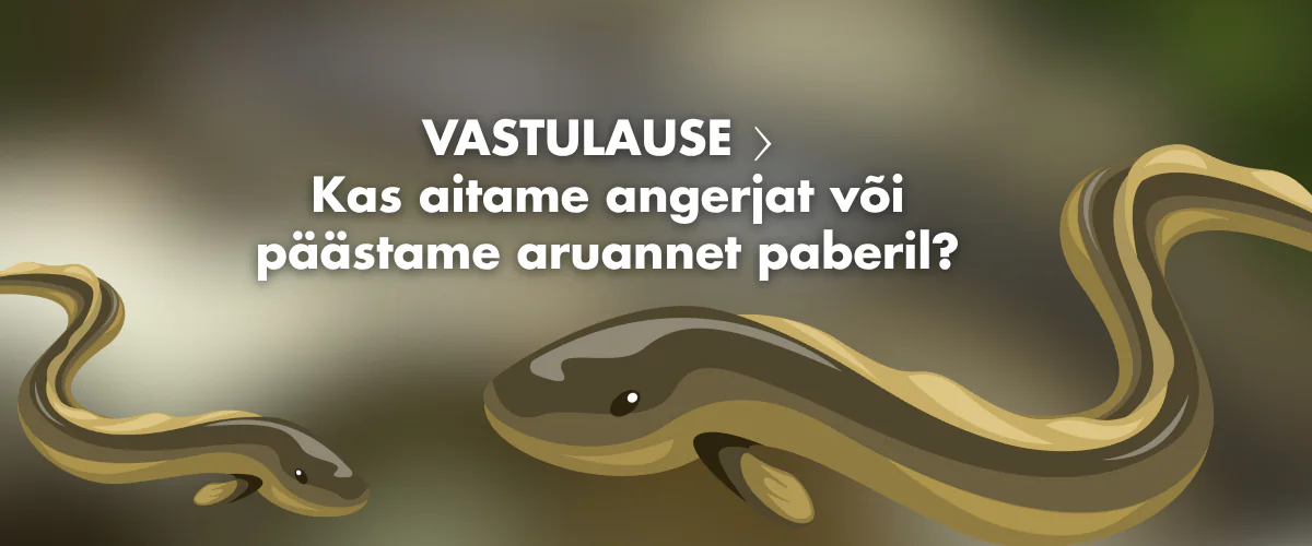 UUS-Loomuse-kodulehe-banner34