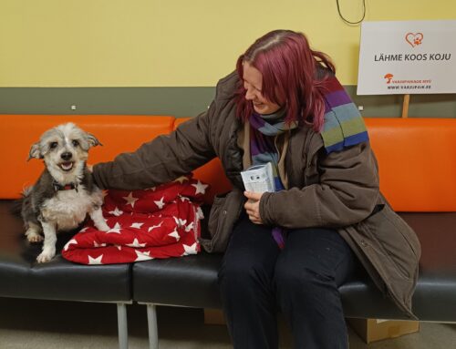 Tallinna loomade varjupaik on esmakordselt koertest tühi