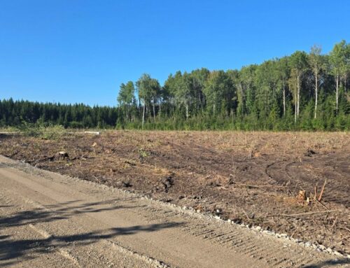 Viljandimaal algas põllumajandusloomade matmispaika ümbritseva aia ehitus