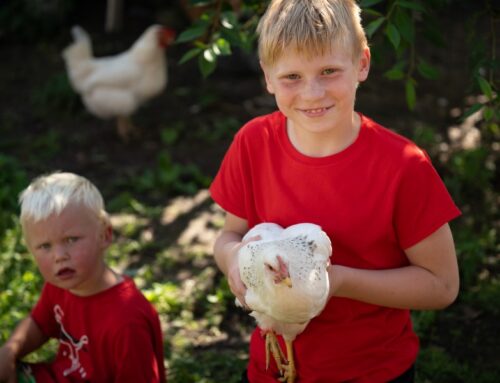 Minister Terras: loomade heaolu peab kasvama koos põllumajanduse kestlikkusega