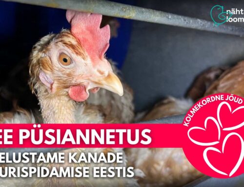 Sinu annetus kolmekordistatakse loomade aitamiseks