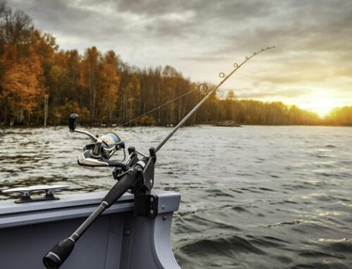 2026. aasta harrastuspüügivõimalused