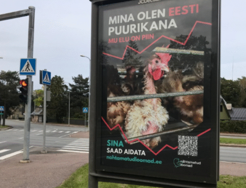 Nähtamatud Loomad kogub ressursse, et läbi viia värsked kampaaniategevused kanapuuride keelu saavutamiseks